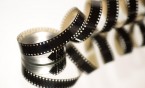 Kino w ogrodzie - projekcje filmowe
