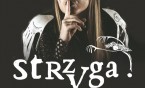 Koncert Strzygi! w Willi Fitznera