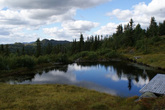 Skandynawski krajobraz