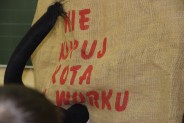 Kot w worku