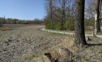 Łąka kwietna – Rzęsa będzie jeszcze piękniejsza