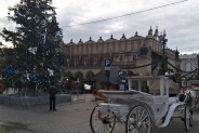 Siemianowiccy seniorzy w Krakowie.