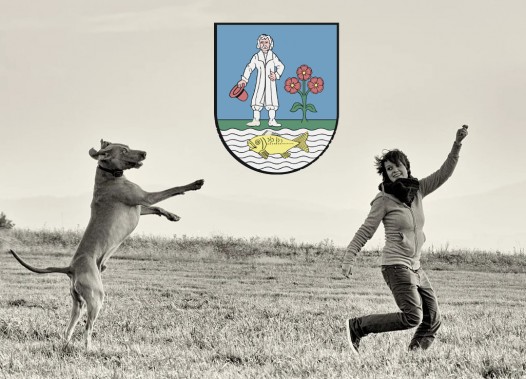 Dziewczyna z wesoło skaczącym psem na łące