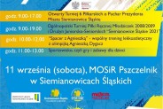 Narodowy Dzień Sportu - plakat