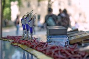 Pamiątkowe statuetki dla uczestników #FamilijnegoSzpilu.