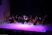 Koncert Noworoczny w Parku Tradycji