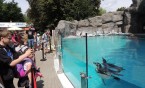 Idziemy do zoo... czyli Akcja Lato 2020