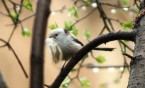 Przyrodnicy z Matei specami od birdwatchingu