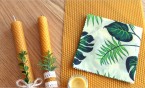 Zero Waste dla początkujących w Bibliotece!