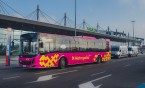 Zagubił drogę do domu -szczęśliwy finał