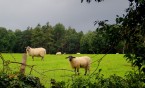 Co kryją czerwone drzwi w Irlandii