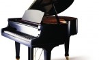 Forte – piano w Willi Fitznera