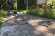 Usuwanie uszkodzeń na alejce prowadzącej do tężni.