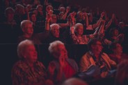Widownia Siemianowickiego Centrum Kultury Park Tradycji.