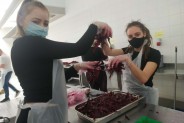 Dziewczyny prezentują stertę przygotowanych na barszcz buraków