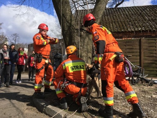 Medycy i ratownicy Matei zajęli wysokie 4 miejsce w województwie