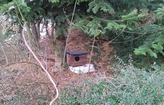 Domek dla kotków.