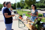 Piąty Piknik Zdrowia