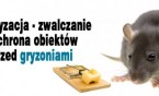 Wojna z gryzoniami