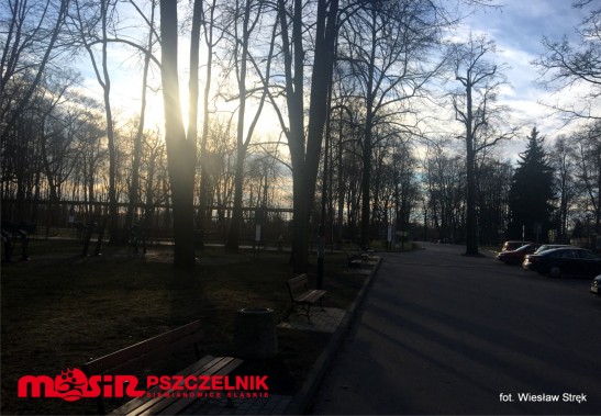 Park Pszczelnik
