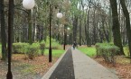Park Górnik