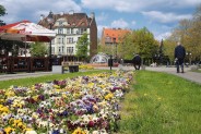 Rynek Miejski - kwietnik
