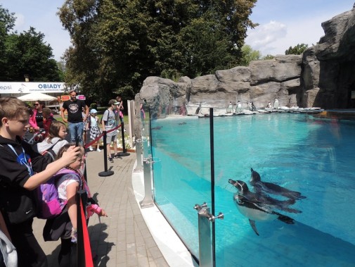 Dzieci przy wybiegu dla pingwinów w  Ślaskim Ogrodzie Zoologicznym