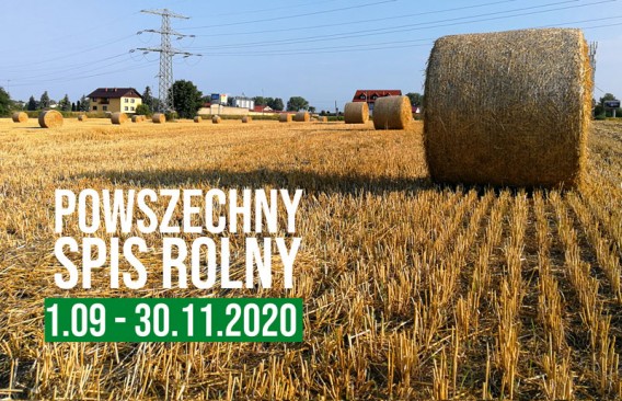 Skoszone pole, bele siana, w tle zdjęcia zabudowa mieszkalna, słup energetyczny.