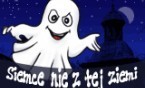 Czy znajdziemy kwiat paproci?