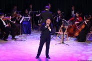 Koncert Noworoczny w Parku Tradycji
