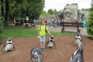 Chłopiec na zdjęciu z figurkami pingwinów w ZOO