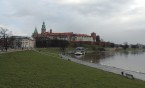 Z wizytą u wawelskiego smoka