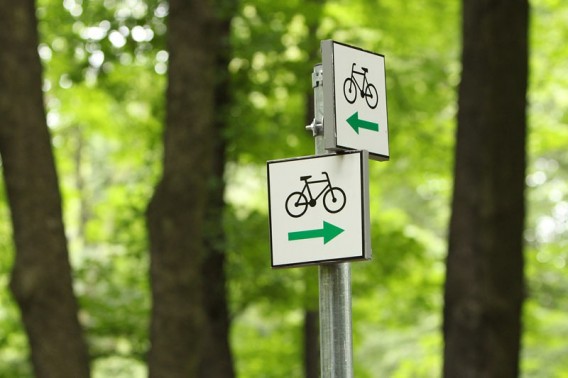 Ścieżli rowerowe w parku