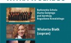 Koncert piosenek Witka Wolnego w SCK