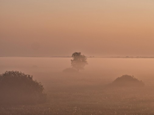 Zamglony pejzaż - fotografia Jerzego Silberringa