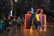 Pierwszy tego typu, bo familijny, sylwester w Siemianowicach Śląskich, zgromadził na Rynku…
