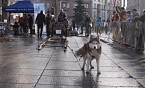 Gwarno i wesoło