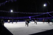 Lodowisko w Parku "Pszczelnik"