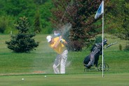 Pole golfowe (3)