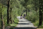 Ścieżki pieszo-rowerowe na "Rzęsie". Siemianowice Ślaskie.