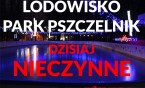 LODOWISKO w Parku Pszczelnik NIECZYNNE !!!