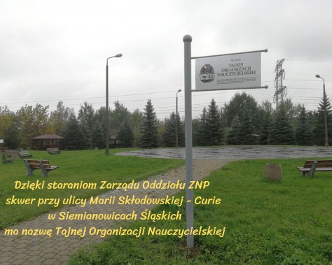 Tablica upamiętniająca Tajną Organizację Nauczycielską na trawniku skweru przy ul M.…