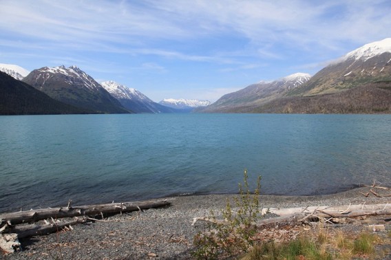 Góry Kenai