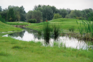 Pole golfowe