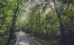 Studenci posprzątają Lasek Bytkowski - zapraszaja do akcji wszystkich chętnych