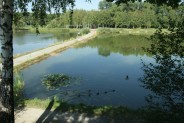 Ścieżki pieszo-rowerowe na "Rzęsie". Siemianowice Ślaskie.