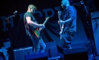 Szalona rockowa noc z Happysadem