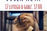 Dzień Kota w Bibliotece - plakat