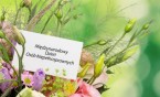 Międzynarodowy Dzień Osób z Niepełnosprawnością