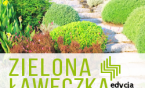 Zielona Ławeczka